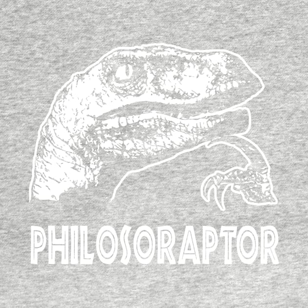 Philosoraptor T-Shirt by dumbshirts